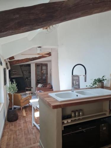 Appartement avec terrasse sur les toits de l'Isle