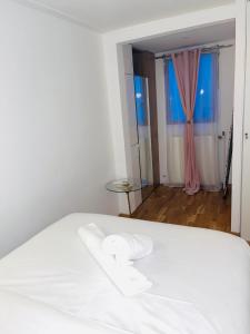 APPARTEMENT AVEC VUE SUR LA TOUR EIIFEL