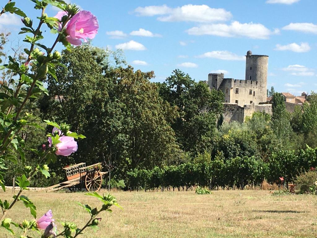 Appartement avec vue sur les vignes à Gevrey