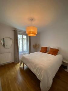 Appartement Avignon intra-muros avec cour -garage