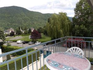 Appartement Bagnères-de-Luchon, 2 pièces, 4 personnes - FR-1-313-185