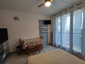 Appartement Balaruc-les-Bains, 1 pièce, 2 personnes - FR-1-571-54