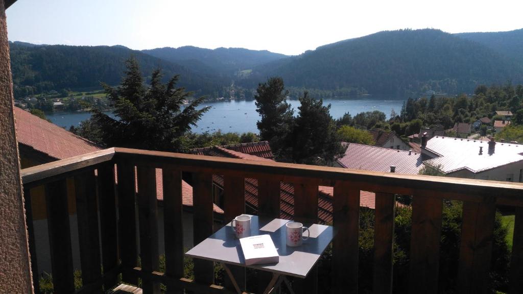 Appartement Appartement balcon Vue lac 120 Chemin de la Pépinière 88400 Gérardmer