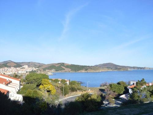 Appartement Banyuls-sur-Mer, 1 pièce, 4 personnes - FR-1-225C-385
