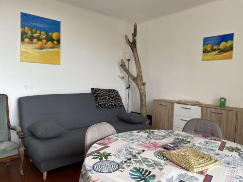 Appartement Banyuls-sur-Mer, 2 pièces, 4 personnes - FR-1-225C-110