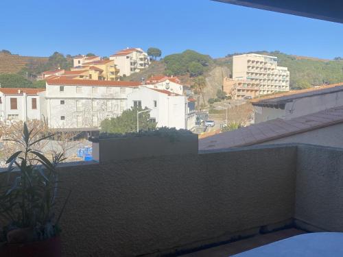 Appartement Banyuls-sur-Mer, 2 pièces, 4 personnes - FR-1-309-362