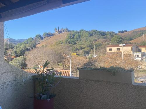 Appartement Banyuls-sur-Mer, 2 pièces, 4 personnes - FR-1-309-362