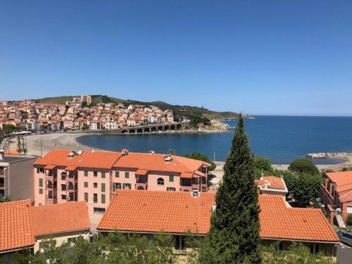 Appartement Banyuls-sur-Mer, 2 pièces, 6 personnes - FR-1-225C-78