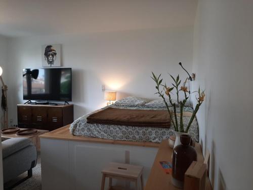 Appartement Biarritz, 1 pièce, 2 personnes - FR-1-239-675