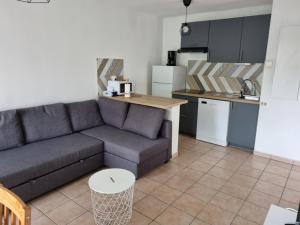 Appartement Biscarrosse, 2 pièces, 4 personnes - FR-1-319-454