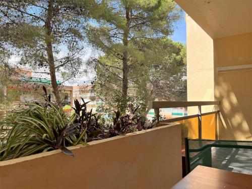 Appartement Bormes-les-Mimosas, 2 pièces, 4 personnes - FR-1-251-121