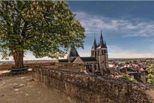Appartement cœur de Blois /heart of the city
