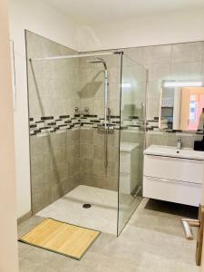 Appartement calme centre ville, rdc, climatisé, jardin, parking privée