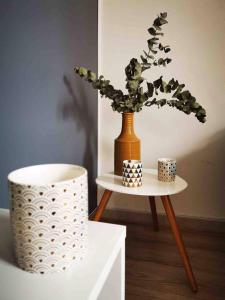 Appartement calme en hypercentre