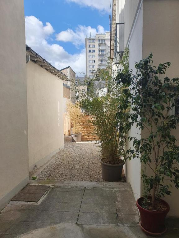 Appartement calme et pratique. 91 Rue de la Fuye, 37000 Tours