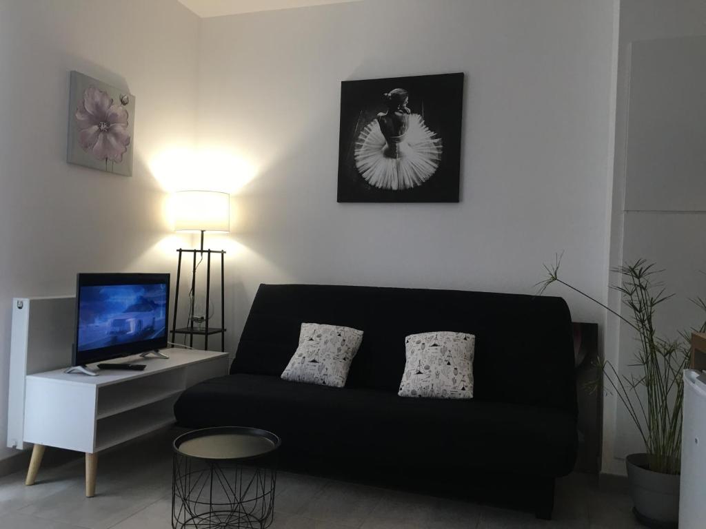 Appartement Appartement calme,lumineux ,coeur culturel deTOURS 3 bis PLACE  Anatole France 37000 Tours