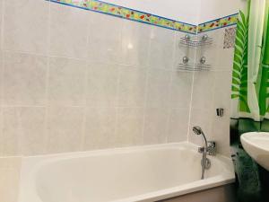 Appartement Appartement Calvi, 1 pièce, 4 personnes - FR-1-63-285 Résidence du Golfe Bâtiment F Route de Pagliazze 20260 Calvi Corse