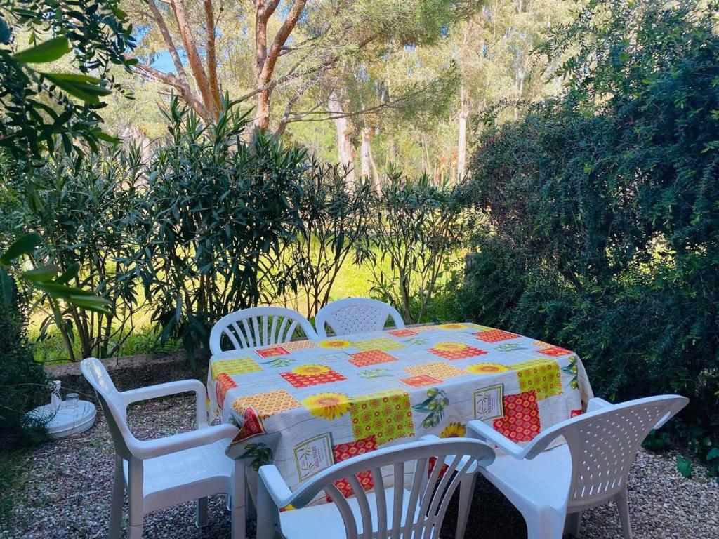 Appartement Appartement Calvi, 1 pièce, 4 personnes - FR-1-63-285 Résidence du Golfe Bâtiment F Route de Pagliazze 20260 Calvi