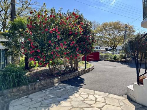 Appartement Cambo-les-Bains, 2 pièces, 2 personnes - FR-1-495-93