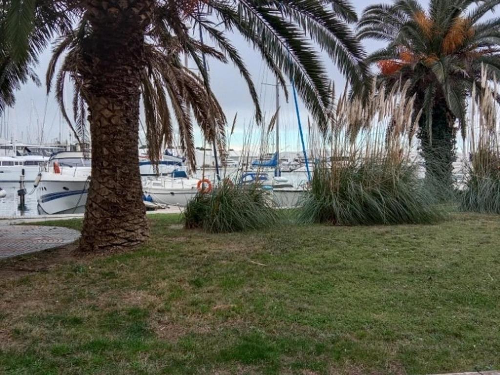 Appartement Canet-en-Roussillon, 2 pièces, 2 personnes - FR-1-696-21 Quai Marine N°15, 66140 Canet-en-Roussillon