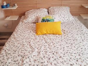 Appartement Canet-en-Roussillon, 2 pièces, 4 personnes - FR-1-696-27