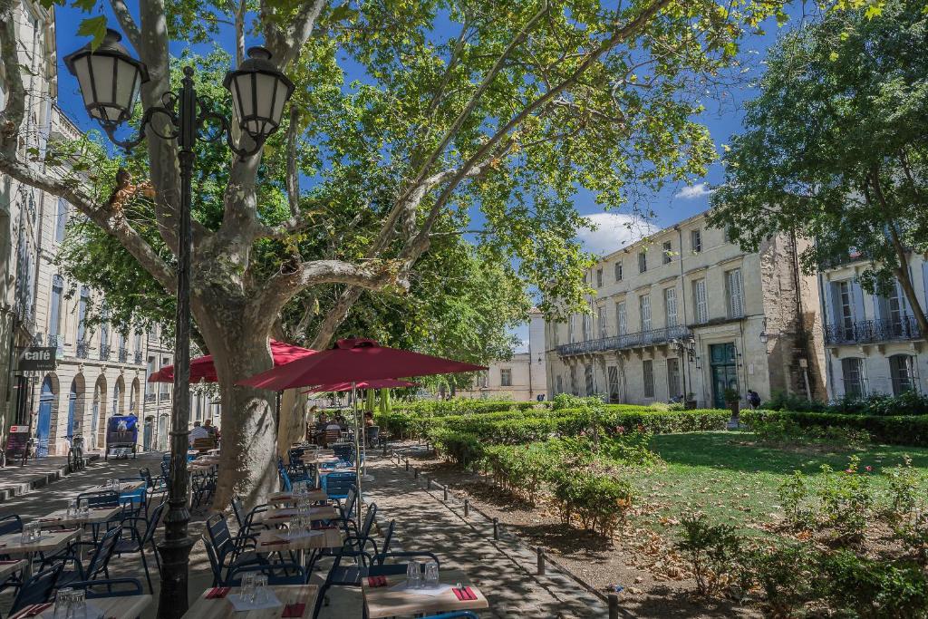Appartement Canourgue - Première Conciergerie 7 plan du palais, 34000 Montpellier