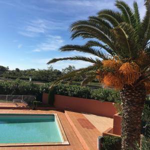 Appartement Appartement Cap d'Adge 3 Avenue du Passeur Challies 34300 Le Cap d\'Agde Languedoc-Roussillon