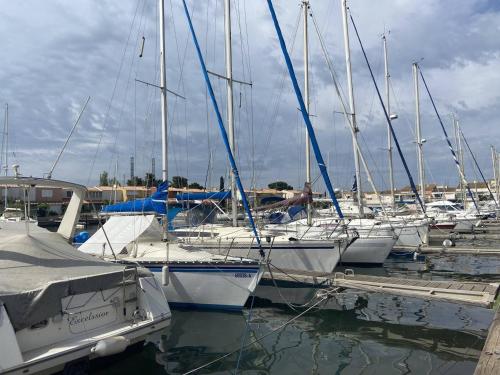 Appartement Cap d'Agde, 1 pièce, 4 personnes - FR-1-249-263