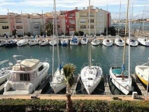 Appartement Cap d'Agde, 1 pièce, 4 personnes - FR-1-249-47