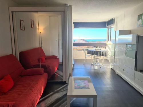 Appartement Cap d'Agde, 2 pièces, 4 personnes - FR-1-249-382