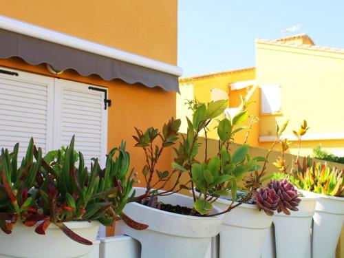 Appartement Cap d'Agde, 2 pièces, 4 personnes - FR-1-607-14