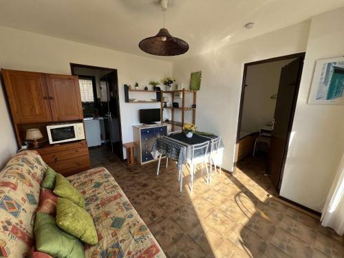 Appartement Cap d'Agde, 2 pièces, 4 personnes - FR-1-702-12