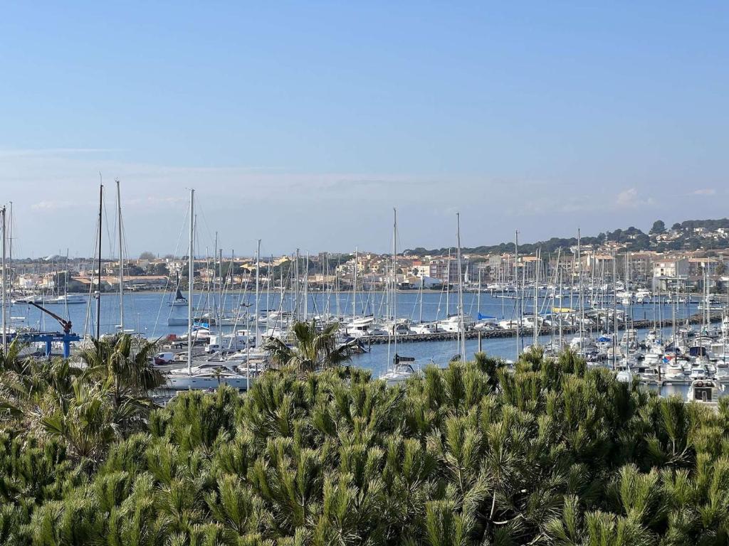 Appartement Cap d'Agde, 2 pièces, 4 personnes - FR-1-702-20 2 RUE DE LA FALAISE BAT A - APPT 33 - 4EME, 34300 Le Cap d\'Agde