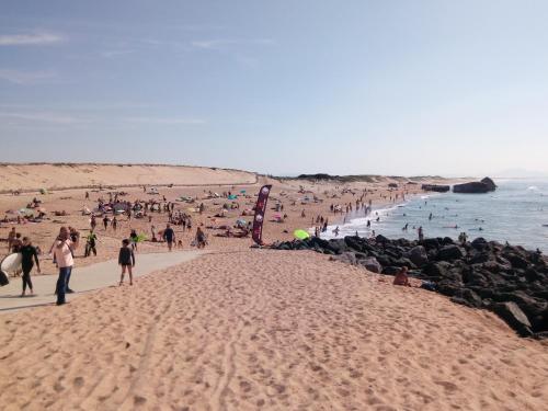 Appartement CAPBRETON face à l'océan sans vis à vis, avec piscine