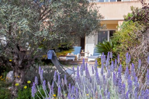 Appartement Casa Linda avec jardin 900m de la plage et du centre ville