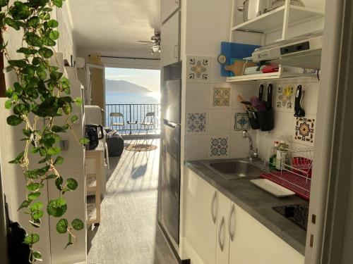 Appartement Casaglione-Tiuccia, 1 pièce, 3 personnes - FR-1-61-478