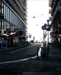 Appartement Cattleya - rue halevy