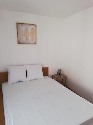 appartement centre ville Amboise