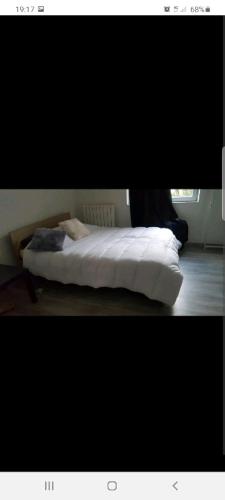 Appartement centre ville