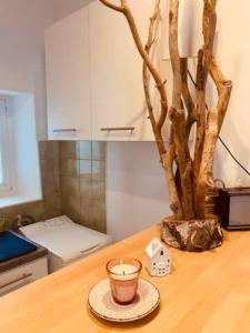 Appartement Centre ville