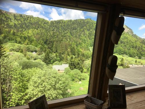Appartement chalet Bellevue-pied de la montagne - Mont Dore