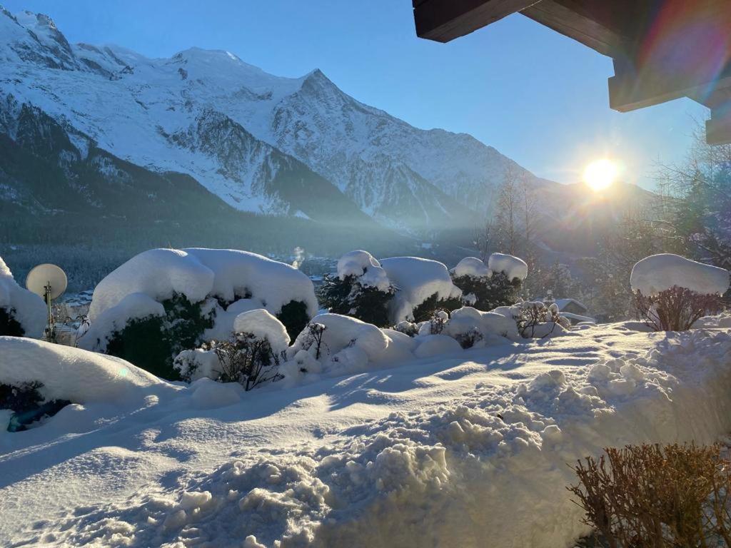 Appartement Appartement Chalet Les hauts du soleil 95 Chemin des Chivres 74400 Chamonix-Mont-Blanc