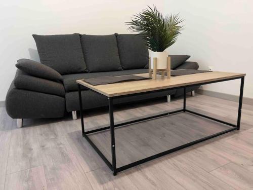 Appartement chaleureux proche RER/ CDG / Parc Expo
