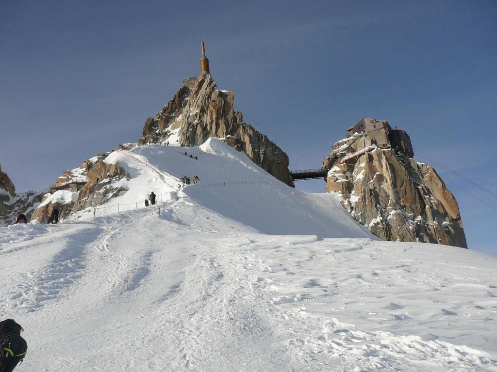 Appartement Appartement chamonix face au mont blanc bâtiment le Grepon 131 Promenade Marie Paradis 74400 Chamonix-Mont-Blanc