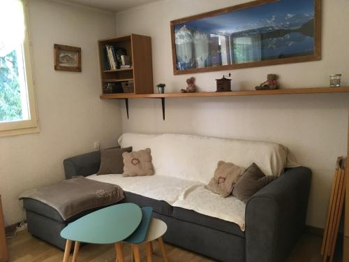 Appartement chamonix face au mont blanc