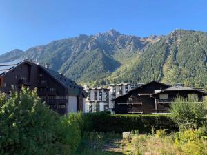 Appartement Chamonix-Mont-Blanc, 2 pièces, 2 personnes - FR-1-343-220