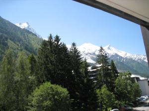 Appartement Appartement Chamonix-Mont-Blanc, 2 pièces, 4 personnes - FR-1-343-155 26, place Edmond Désailloud Chamonix Sud 74400 Chamonix-Mont-Blanc Rhône-Alpes