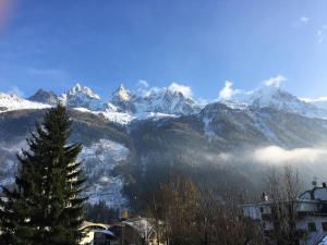 Appartement Chamonix-Mont-Blanc, 2 pièces, 4 personnes - FR-1-507-44