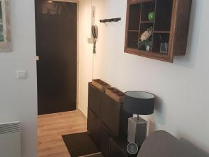 Appartement Chamonix-Mont-Blanc, 2 pièces, 4 personnes - FR-1-517-58