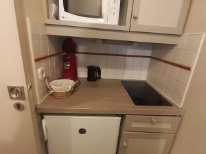 Appartement Chamonix-Mont-Blanc, 2 pièces, 4 personnes - FR-1-517-62